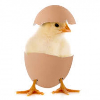 .