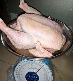 Processed chicken