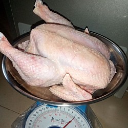 Processed chicken